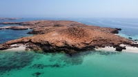 Muscat, Daymaniat Islands Snorkeling Tour avec des rafraîchissements - Hizvo