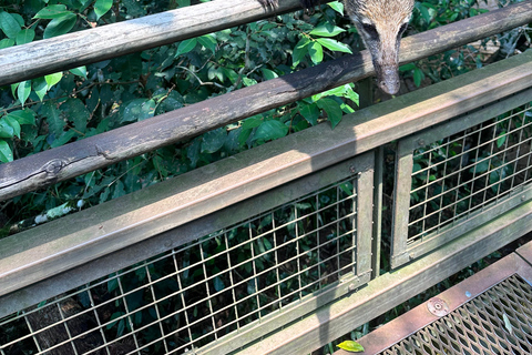 från Foz do Iguaçu: Privat rundtur vid Iguaçufallen