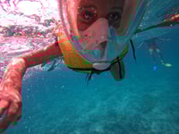 Muscat, Daymaniat Islands Snorkeling Tour com bebidas - Housity