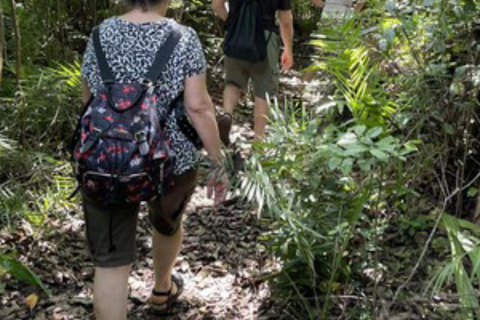 Jozani Forest & Turquoise Waters Turtle Swim at Salaam Cave TOUR WITHOUT HOTEL PICKUP AND DROP OFF