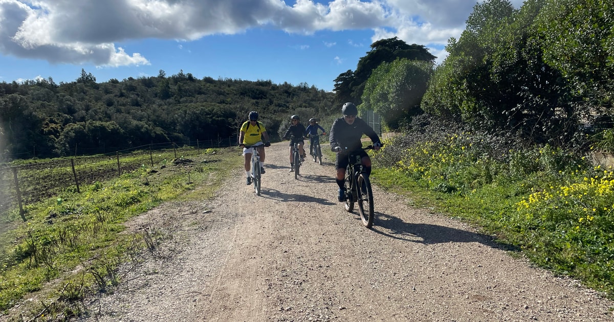 Cascais-Sintra E-bike Tour: Coast & Countryside Adventure | GetYourGuide