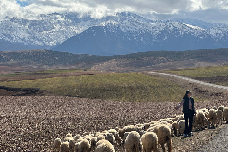 From Marrakech: Atlas Mountains 4-Day Hike with Hotels