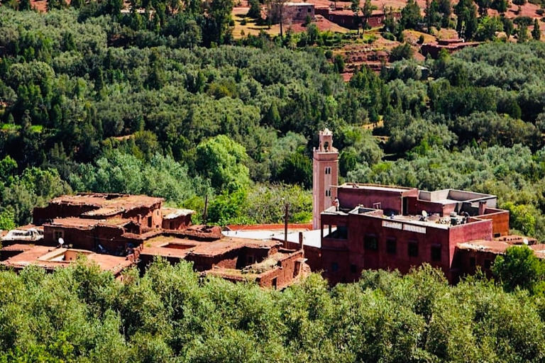 Day Trip to Ouirgane and Marigha at Atlas Mountains