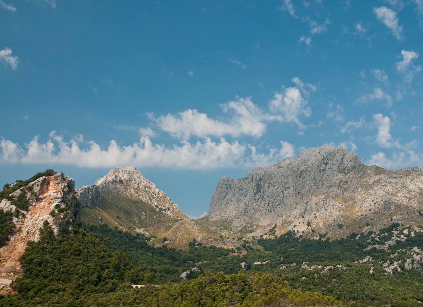 Fra Palma: Guidet tur til Serra Tramuntana og Lluc-klosteret