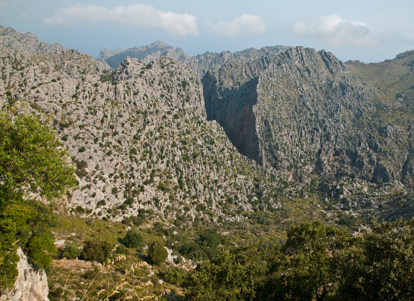 Fra Palma: Guidet tur til Serra Tramuntana og Lluc-klosteret