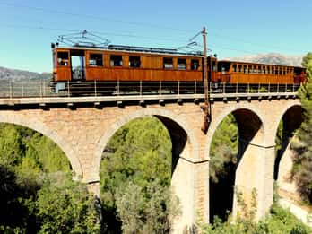 Desde Palma: Visita guiada a la Serra Tramuntana y el Monasterio de Lluc