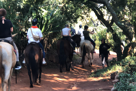 From Johannesburg: Horse-Riding Safari and Cable Car Tour