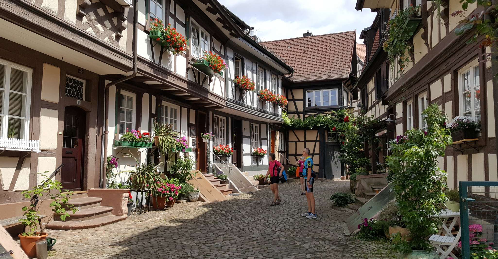 Gengenbach, Private Black Forest Tour by car - Housity