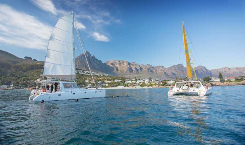 Cape Town: V&A Waterfront Champagne Cruise