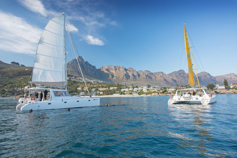 Città del Capo: crociera con champagne sul lungomare V&amp;A