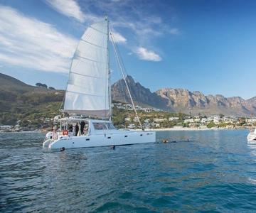 Cape Town: V&A Waterfront Gin Voyage Cruise
