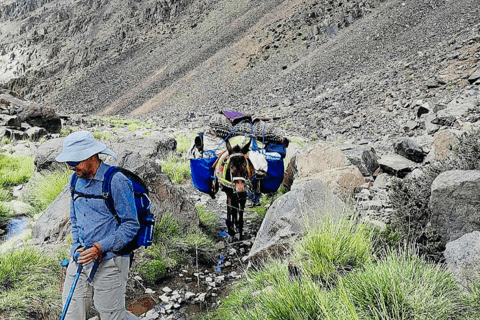 Marrakech: 3 Days Trek Berber Villages of Atlas Mountains