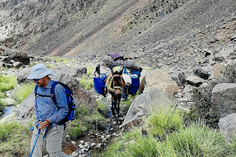 Marrakech: trekking di 3 giorni sui villaggi berberi delle montagne dell&#039;Atlante