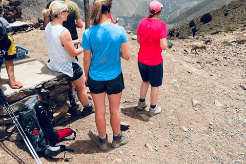 Marrakech: trekking di 3 giorni sui villaggi berberi delle montagne dell&#039;Atlante