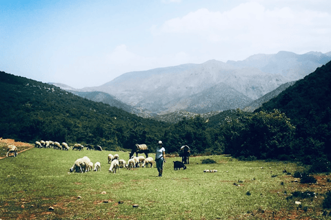 Marrakech: 3 Days Trek Berber Villages of Atlas Mountains