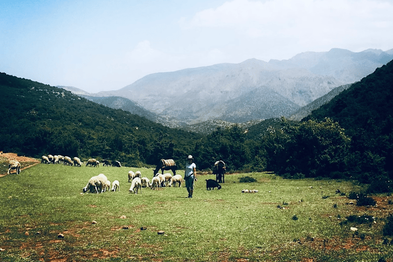 Marrakech: 3 Days Trek Berber Villages of Atlas Mountains