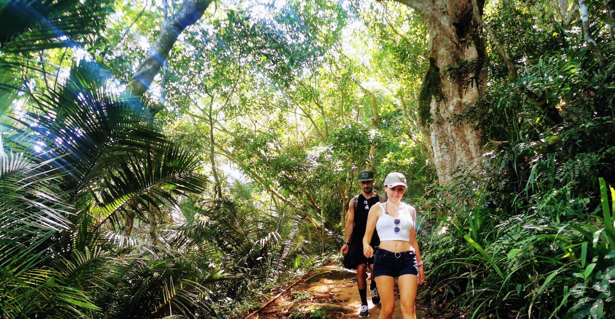 Tour privado de senderismo en Ilha Grande, Lopes Mendes - Hizvo