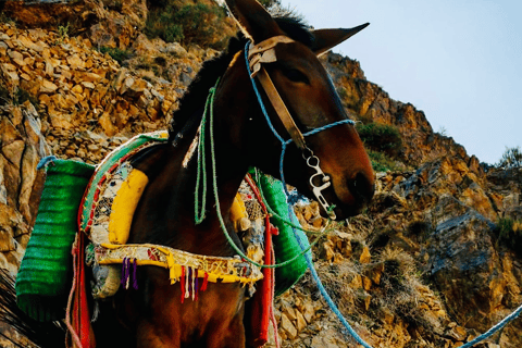 Marrakech: 2 Tage Trek zum Imnane Tal im Atlasgebirge