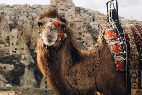 Cappadocia: Pigeon Valley Sunset or Sunrise Camel Ride Cappadocia: Sunset Camel Ride