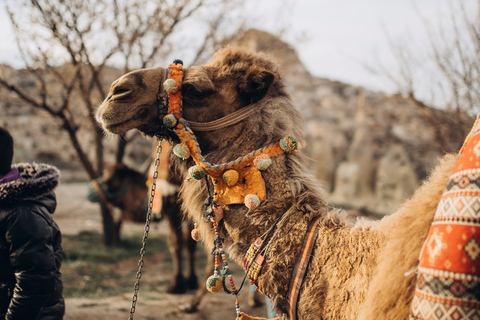 Cappadocia: Pigeon Valley Sunset or Sunrise Camel Ride Cappadocia: Sunset Camel Ride