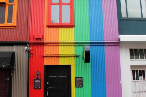 Reykjavík: tour privato a piedi LGBTQ con una guida locale