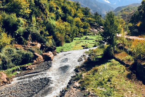 Vanuit Marrakesh: dagtour Atlasgebergte en Toubkal-museumVan Marrakesh: Atlasgebergte & Toubkal Museum Dag Tpur