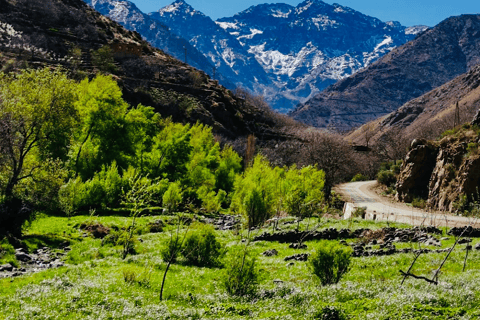 Vanuit Marrakesh: dagtour Atlasgebergte en Toubkal-museumVan Marrakesh: Atlasgebergte & Toubkal Museum Dag Tpur