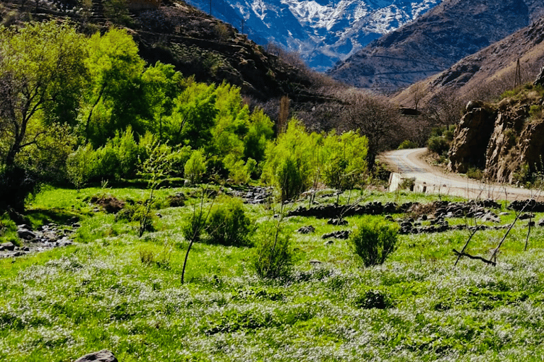 Vanuit Marrakesh: dagtour Atlasgebergte en Toubkal-museumVan Marrakesh: Atlasgebergte & Toubkal Museum Dag Tpur