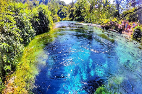 Excursión de un día a Gjirokastra y el Ojo AzulExcursión de un día de Tirana a GJIROKASTRA y el Ojo Azul