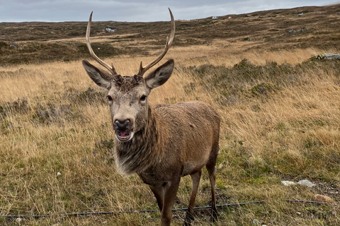 Vanuit Edinburgh: Privétour naar Loch Ness, Glencoe & HighlandsVanuit Edinburgh: privétour Loch Ness, Glencoe en Highlands