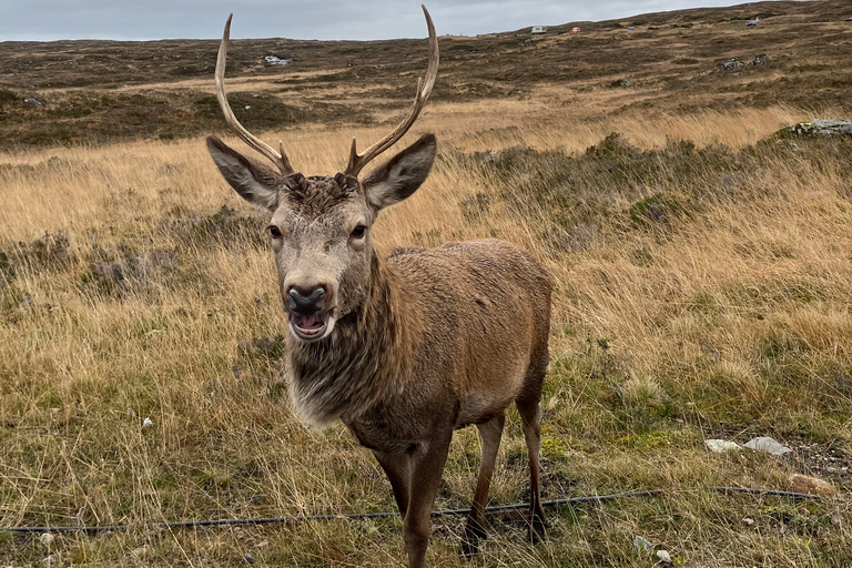 Vanuit Edinburgh: Privétour naar Loch Ness, Glencoe & HighlandsVanuit Edinburgh: privétour Loch Ness, Glencoe en Highlands