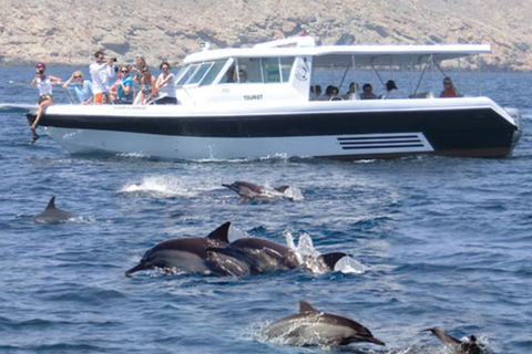 Mascate: passeio de barco para observação de golfinhos