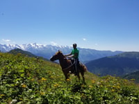 From Kutaisi, Svaneti Mountain Villages 2-Day 4x4 Safari - Housity