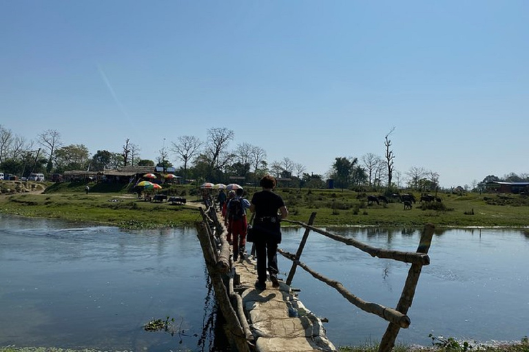 Pokhara : 3 jours de safari dans la jungle au départ de Pokhara