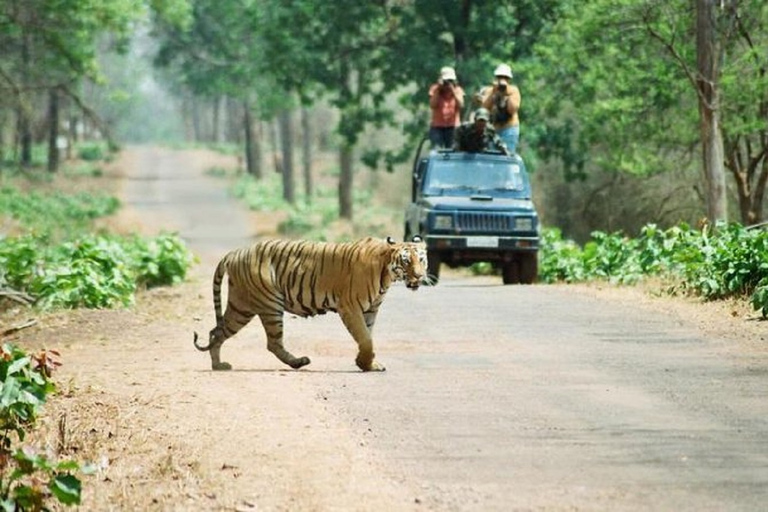 Pokhara: 3 Days Wildlife Jungle Safari Tour from Pokhara