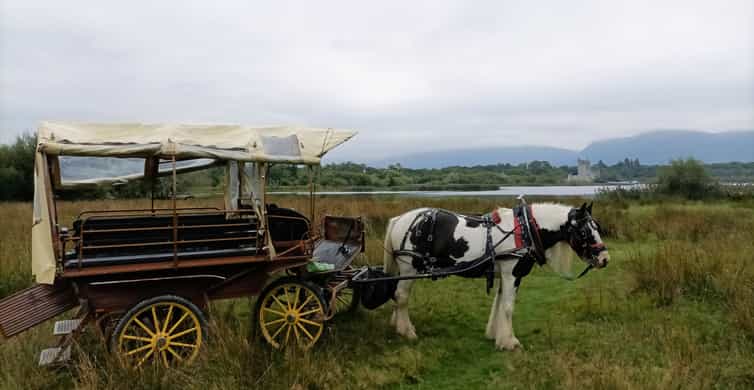 Killarney Killarney National Park Private Tour GetYourGuide