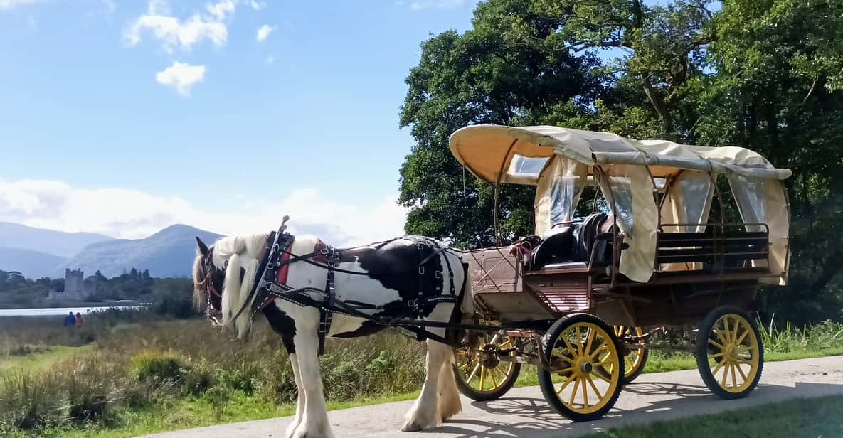 Killarney Killarney National Park privétour GetYourGuide