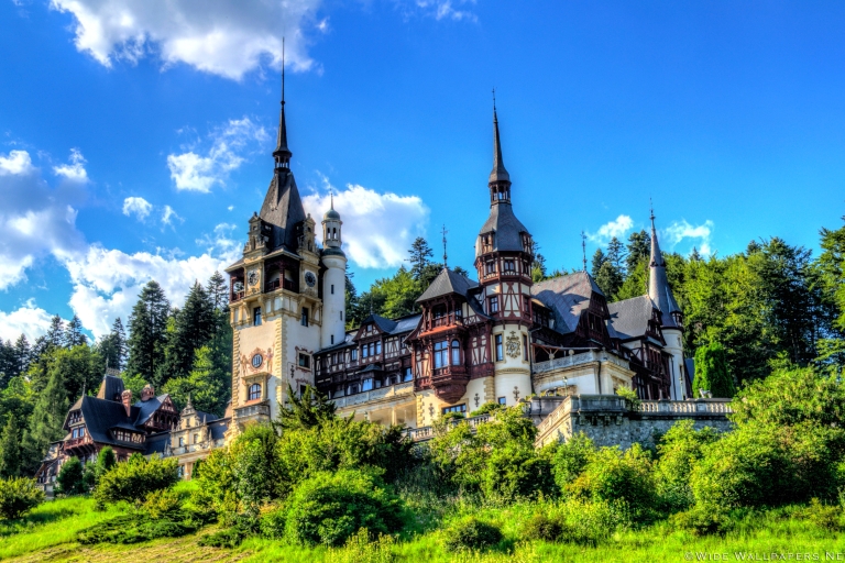 Ab Bukarest: Tagestour zu Schloss Draculas & Schloss PeleșGruppentour