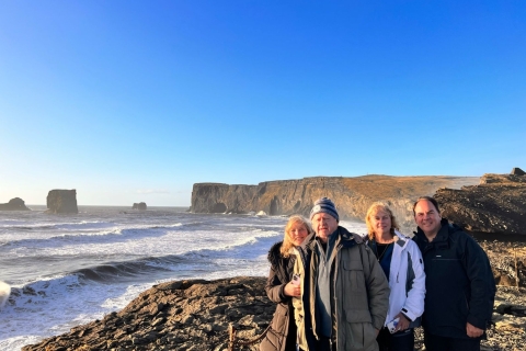 Islande du Sud : Excursion exclusive d'une journée sur la côte sud