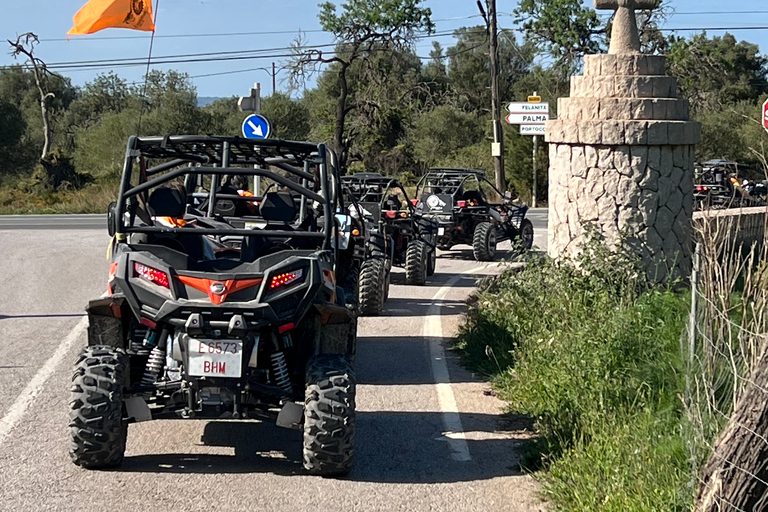 From East Mallorca: Guided Beach and Mountain Buggy Tour