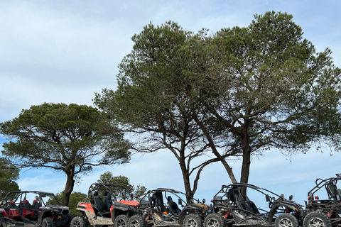 From East Mallorca: Guided Beach and Mountain Buggy Tour