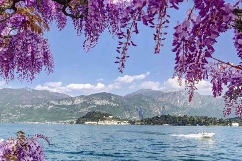 Desde Milán: Excursión de un día al Lago Como y Bellagio