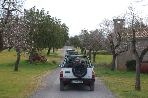 Mallorca: Excursión en 4x4 por la playa y la montaña