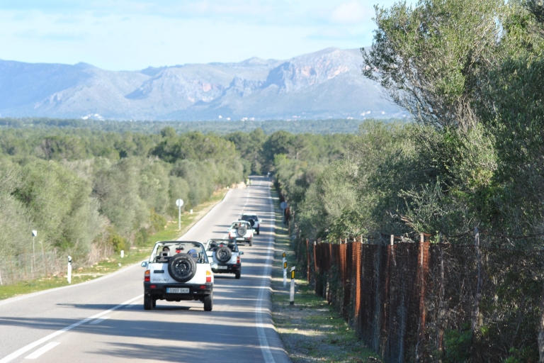 Mallorca: Strand en bergen 4X4 tochtMallorca: 4x4-tour over strand en bergen