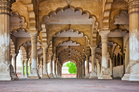 Delhi: Wycieczka grupowa po Taj Mahal o wschodzie słońca i forcie Agra