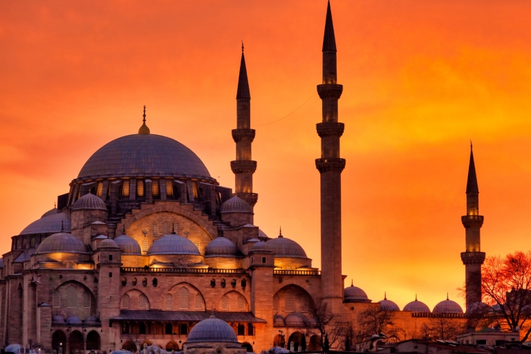 Estambul: Visita guiada a pie por Santa Sofía y SuleymaniyeVisita privada