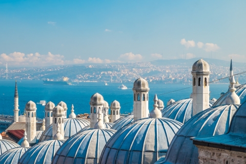 İstanbul: Hagia Sophia en Suleymaniye begeleide wandelingPrivé rondleiding