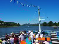 Van Bonn, Rhine River naar Linz sightseeing Boat Tour - Housity