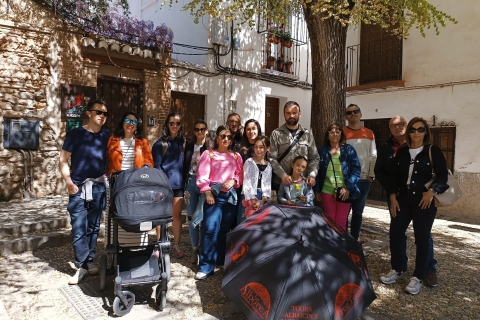 Granada: wandeltocht historisch centrum en lager Albaicin