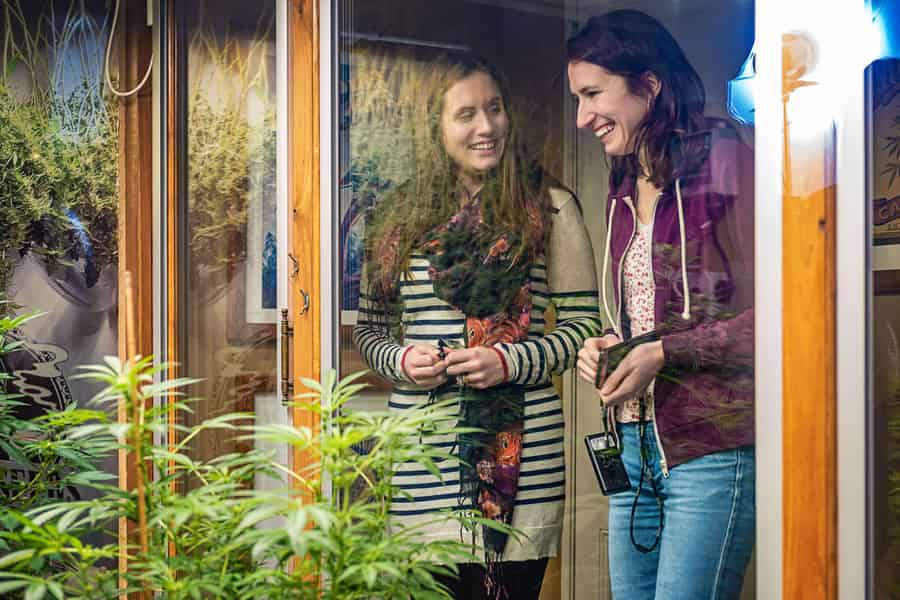 Amsterdam: Eintrittskarte für das Haschisch-, Marihuana- und Hanfmuseum. Foto: GetYourGuide